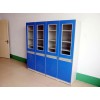 個(gè)性理化生實(shí)驗(yàn)室儀器柜藥品柜，遠(yuǎn)誠(chéng)，福州具有口碑的理化生實(shí)驗(yàn)室儀器柜企業(yè)